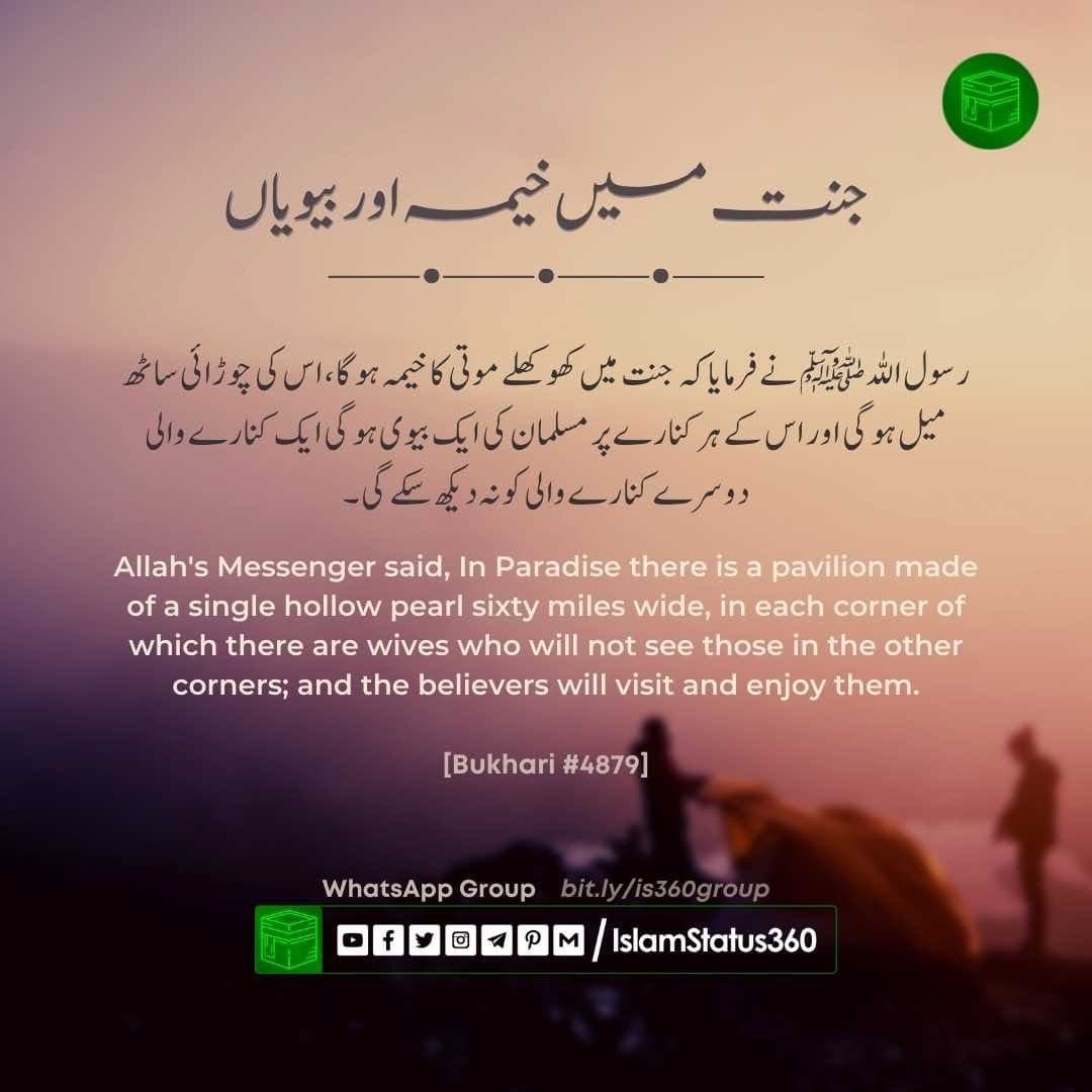 Sahih al-Bukhari 4879