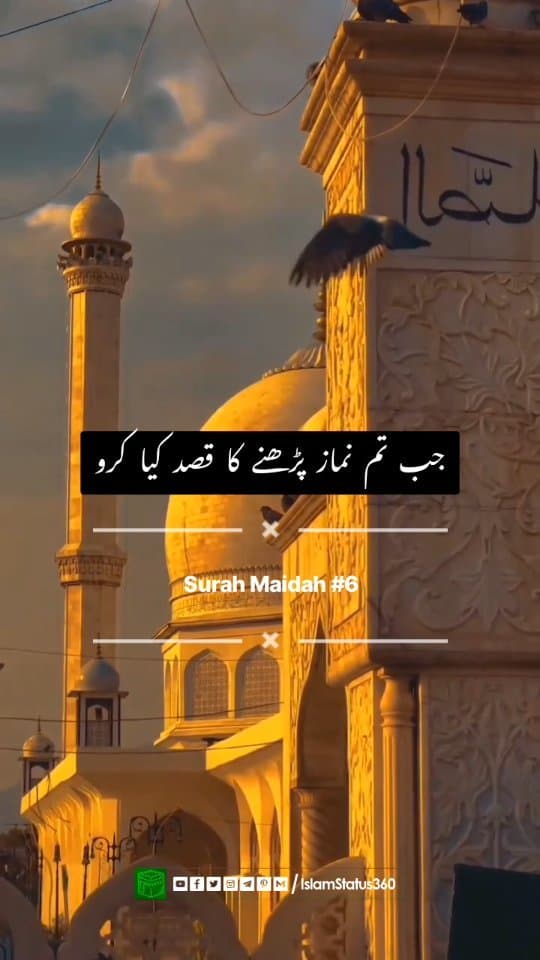 Surat Maida #6