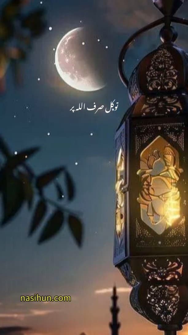 Bharosa sirf Allah par #drisrar #quote #faith #iman #nasihun #allah #islamicguidance #instagood #islamicreminders #is...