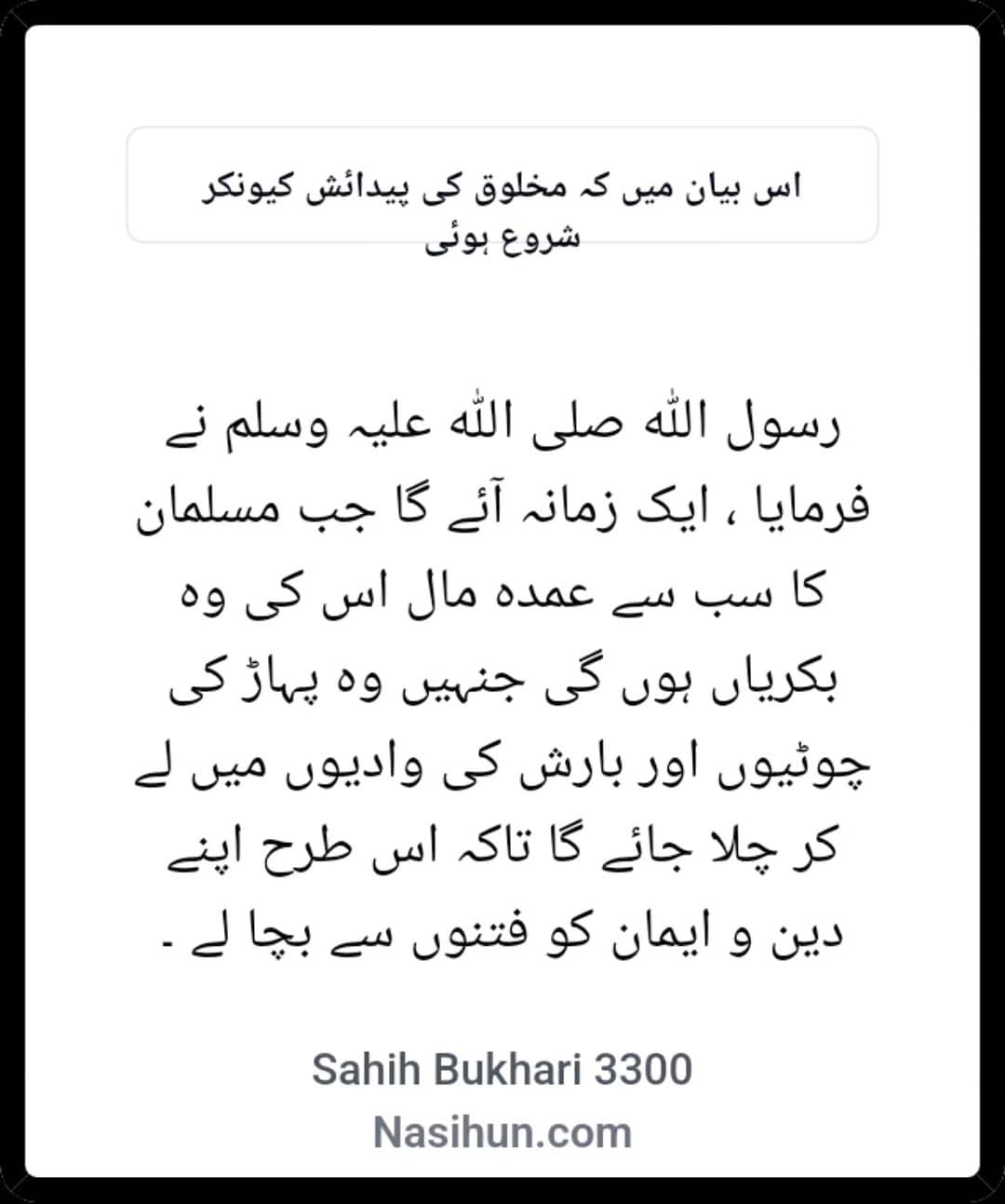 مسلمان کا سب سے عمدہ مال اس کی وہ بکریاں ہوں گی جنہیں وہ پہاڑ کی چوٹیوں اور بارش کی وادیوں میں لے کر چلا جائے گا تاکہ...